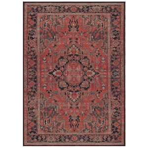 Journey Navy/Red 4 ft. x 6 ft. Machine Washable Floral Medallion Area Rug