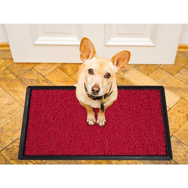 Doormat Dog Chenille Indoor Entrance Pet Door Mats Anti-Slip