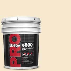 5 gal. #360E-1 Creme Brulee Flat Exterior Paint