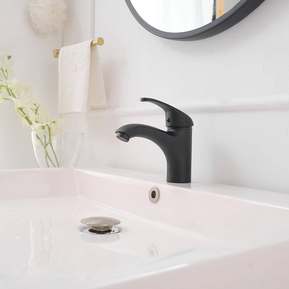 Matte Black Stainless Steel Single-Handle Bathroom Faucet