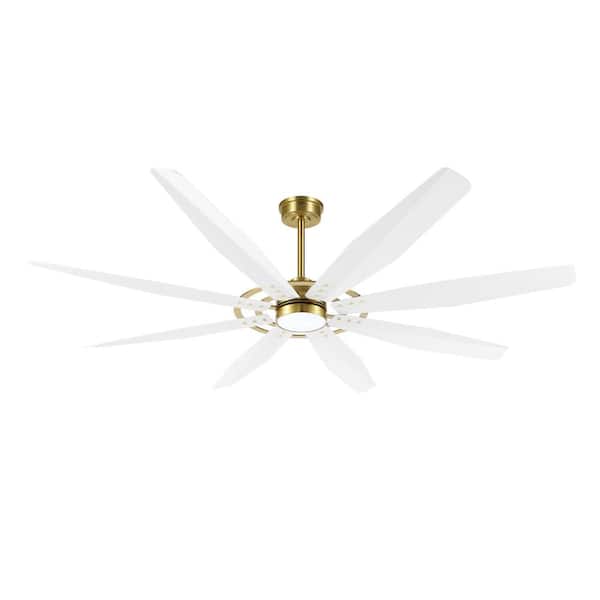 MLiAN 60 in. 8 Blades White and Gold Indoor LED Ceiling Fan with Remote control