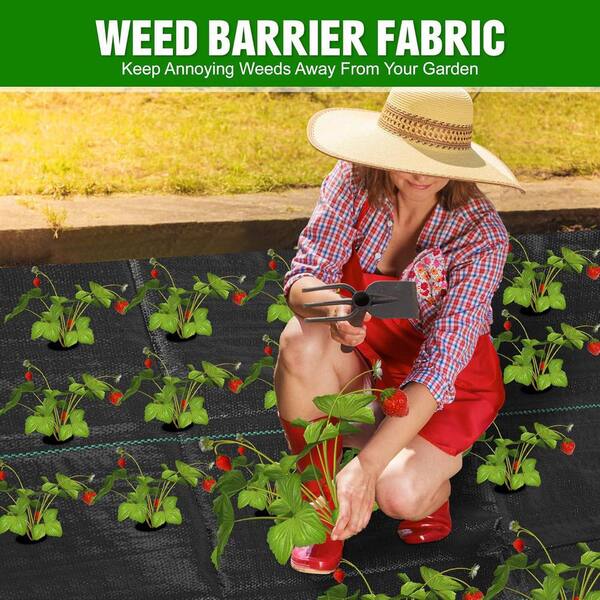 LAVEVE 6ft X 100ft Weed Barrier Landscape Fabric – 3.2oz Heavy-Duty Woven Polypropylene For Gardens & Pathways