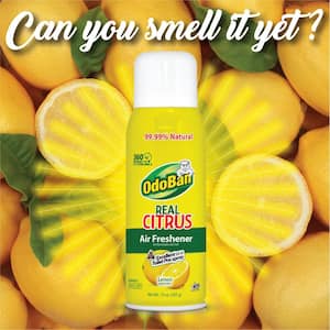 10 oz. Lemon Real Citrus Air Freshener Spray, Citrus Oil Natural Air Freshener for Home, Room Deodorizer & Toilet Spray