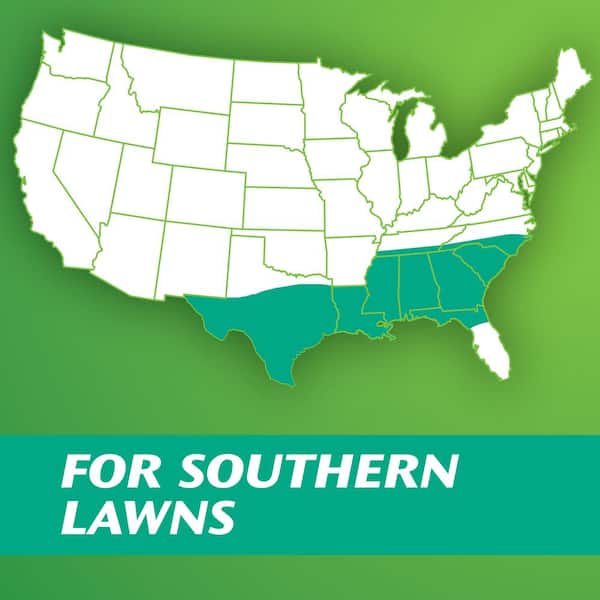 Turf Builder 5 lbs. Grass Seed Centipede Grass Seed & Mulch Grows a Thick, Low-Maintenance Lawn