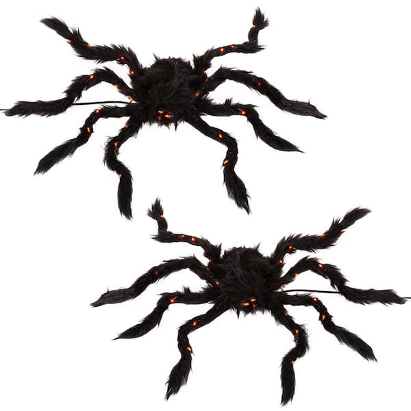 Spooky Spiders