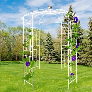 81.3 in. W x 114.2 in. H Metal Garden Arch Trellis Iron Arbors Birdcage Shape Pavilion for Wedding Ceremony Cream White