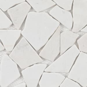 Marble Tumbled Pebbles Mosaic Tile White 12 in. x 12 in. Sample