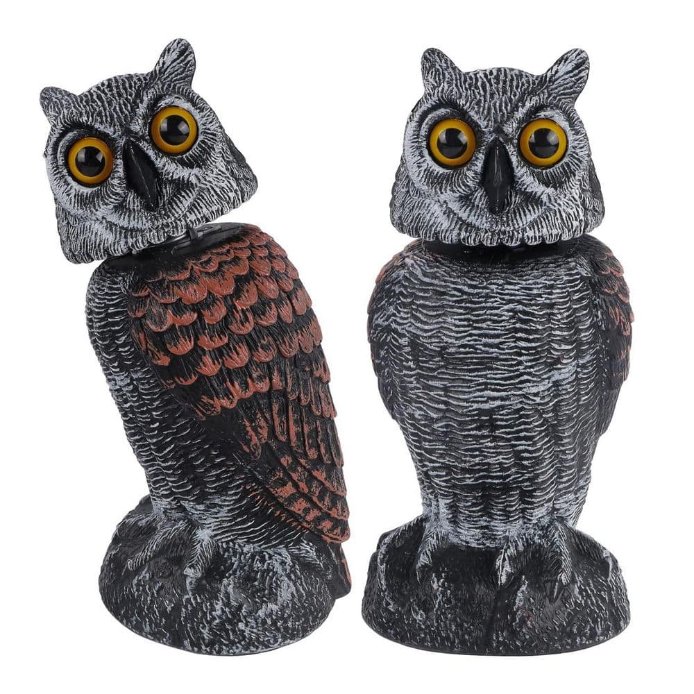 owl demo 2枚セット garden-statues-l09qgdlc3z-