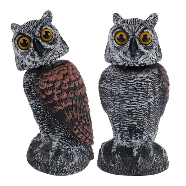 Black Realistic Owl Bait Sculpture Product Type, (2-Pack)