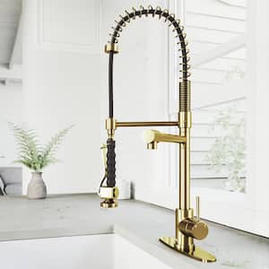 Zurich Single Handle Pull-Down Sprayer Kitchen Faucet Set with Deck Plate in Matte Brushed Gold