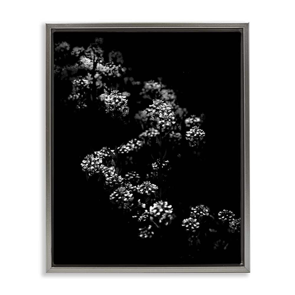 Curved Blossom Line by Brian Carson Gray Floater Frame Nature Graphic Art Print 31 in. x 25 in. price history on PriceWatchPro
