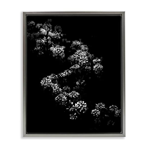 Stupell Industries Curved Blossom Line by Brian Carson Gray Floater Frame Nature Graphic Art Print 31 in. x 25 in.