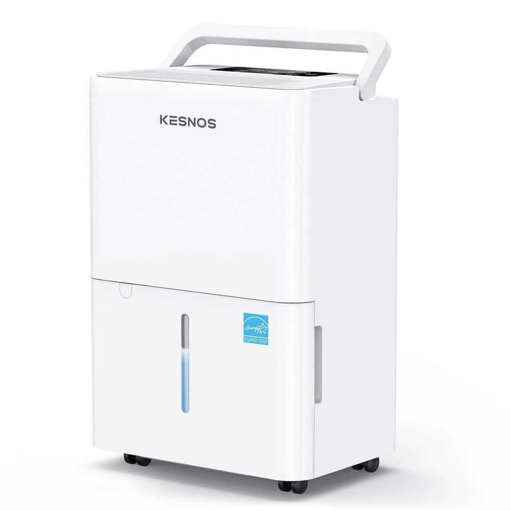 30 pt. 2000 sq. ft. Energy Star Dehumidifier with Drain Hose, Bucket and Timer in White for Bedroom and Bathroom