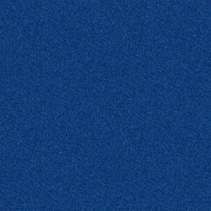 Alpine - Imagination - Blue 17.3 oz. Polyester Texture Installed Carpet