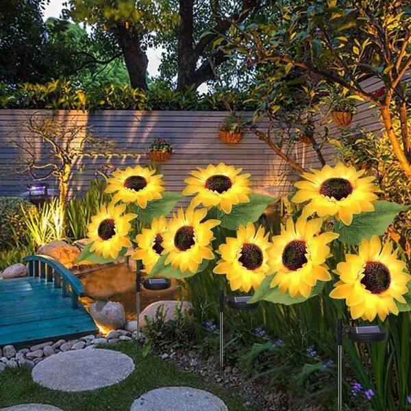 sunflower 2本 Twin-Blossom Blue Over Yellow Sunflower Seeds