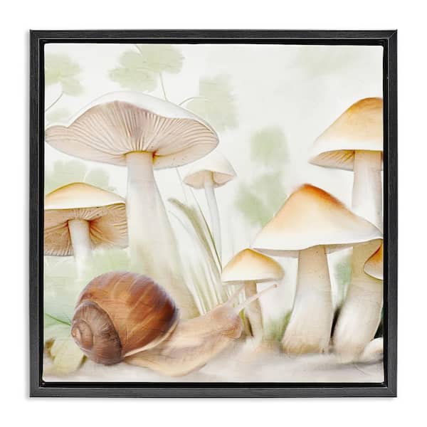 Stupell Industries Snail Among Mushrooms by Kim Allen Black Floater Frame Nature Graphic Art Print 18 in. x 18 in.