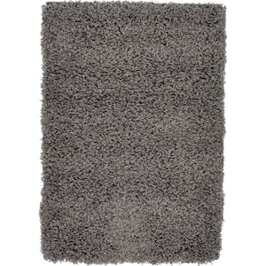 Solid Shag Graphite Gray 2 ft. x 3 ft. Area Rug