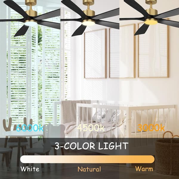 ふふ Reviews for FUFU&GAGA 55 in. Integrated LED Indoor/Outdoor