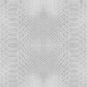 Grey Python Adhesive Wall Paper