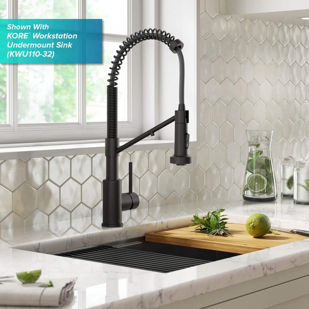 Matte Black 2-in-1 Pull-Down Kitchen Faucet with Water Filter