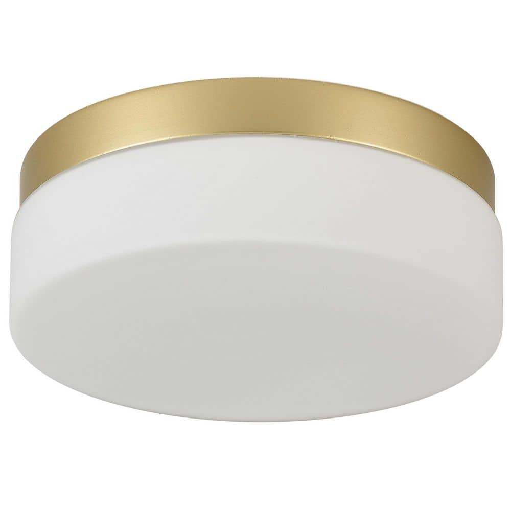 12 in. Gold 24-Watt Color Selectable LED Flush Mount Disk Light Ceiling Light Fixture price history on PriceWatchPro