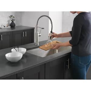 Theodora Single-Handle Pull-Down Sprayer Kitchen Faucet with Spring Spout and ShieldSpray in Spotshield Stainless