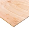 23/32 in. x 4 ft. x 8 ft. BC Sanded Pine Plywood 201428 - The Home Depot