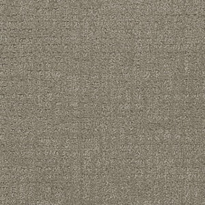 Wandering Scout - Longbow - Beige 28 oz. SD Polyester Pattern Installed Carpet