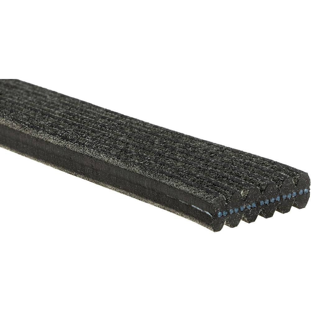 Premium OE Dual Sided Micro-V Belt price history on PriceWatchPro