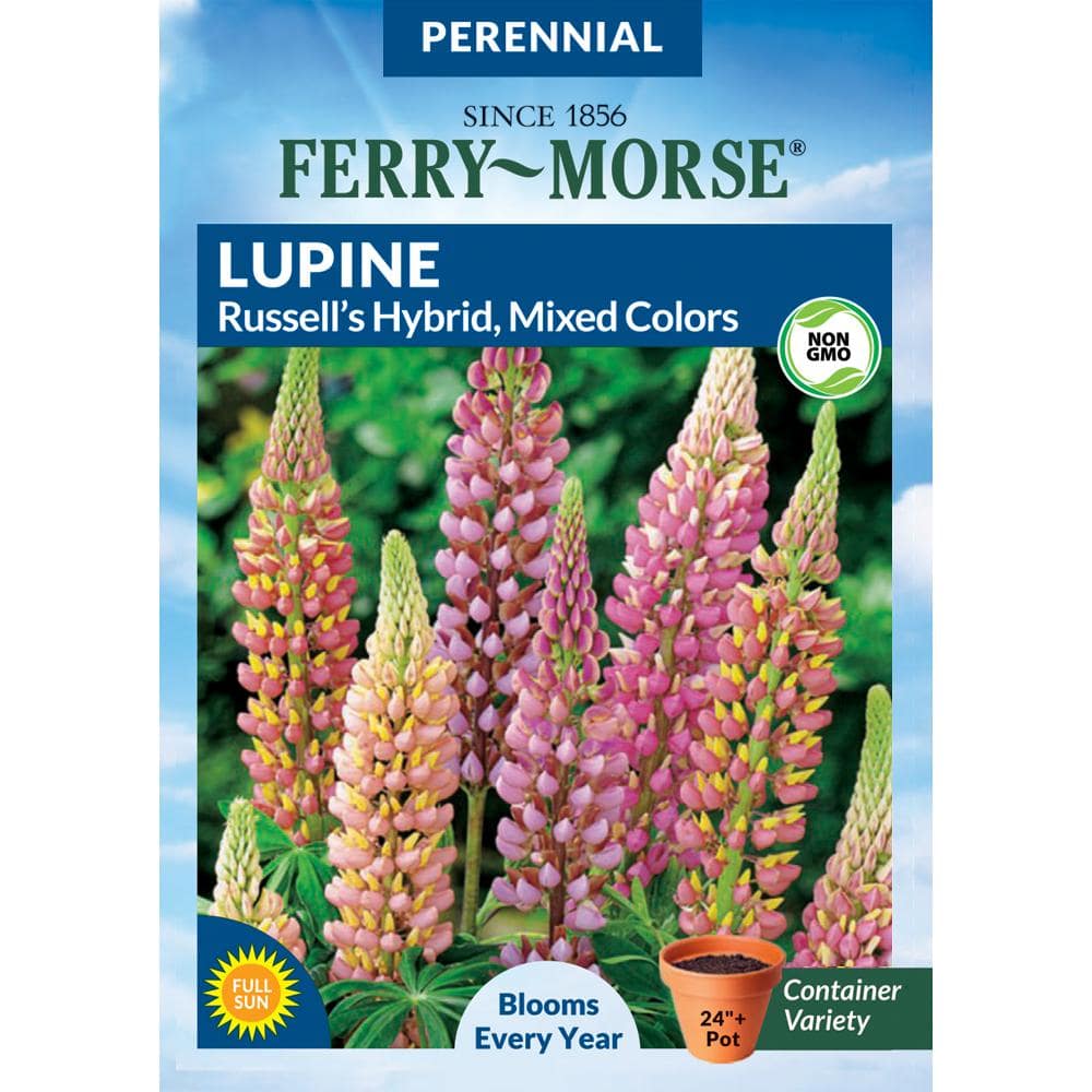 Ferry-Morse Lupine Russell's Mixed Colors Flower Seed 5983