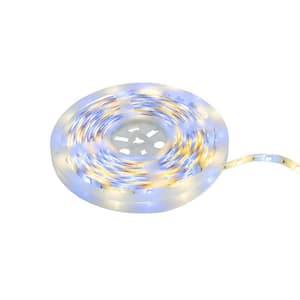 16ft LED RGB Color Tape Light, Cut & Connect, 12" Whip(1-Pack)