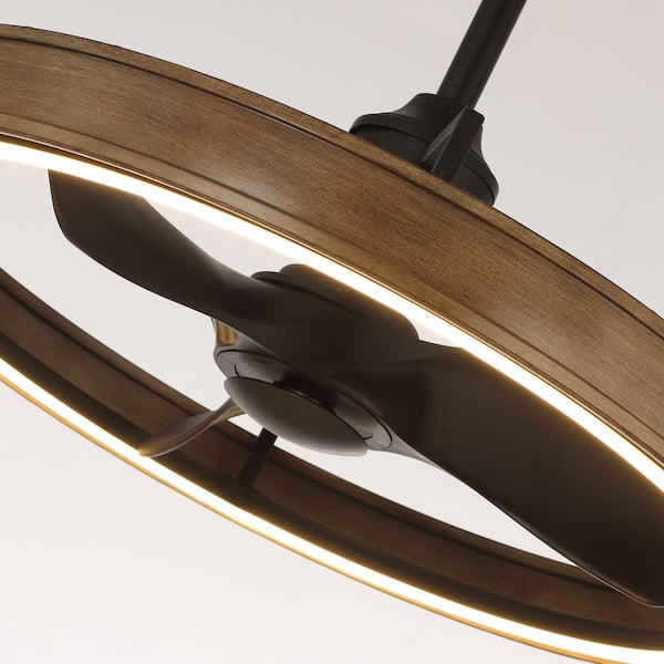 ●BLACK MENAGERIE MEN-02 Menagerie Forest BLACK | Loloi Rugs