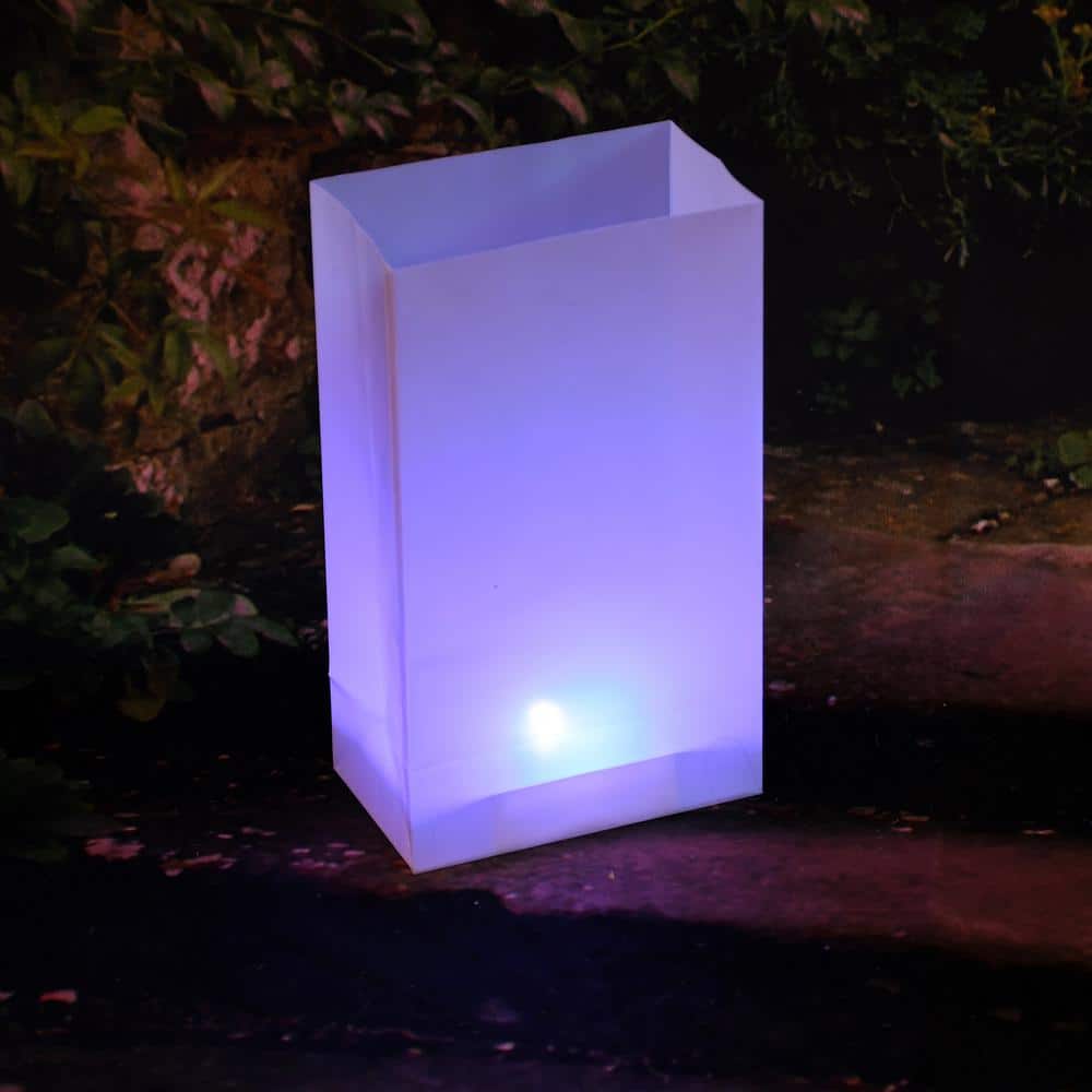 Color Changing Battery Operated LED Lights with Timer, Set of 6