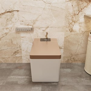 Smart Toilet Bidet One-Piece 0.8/1.2 GPF Dual Flush Square Toilet in Gold Seat with Remote Panel