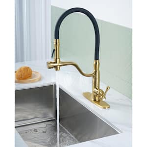 Single Handle Pull Out Sprayer Kitchen Faucet Deckplate Included and Rust-Proof in Solid Brass in Gold