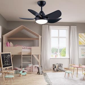 30 in. LED Indoor Black Ceiling Fan with Remote, Reversible Motor, 5 ABS Blades, 3 Color Temperature Selection