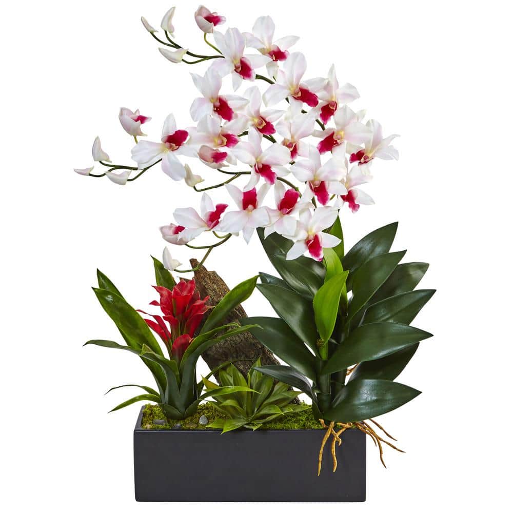 Nearly Natural Dendrobium Orchid and Bromeliad Silk Artificial Arrangement This faux dendrobium and bromeliad is dramatic and unique. The two lifelike plants are nestled together in a black rectangular planter filled with moss, making the arrangement look even more realistic. It adds a splash of summer to any room of the house.