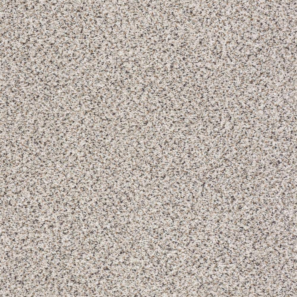 Lifeproof 8 in. x 8 in. Texture Carpet Sample - Karma I - Color Charade ...