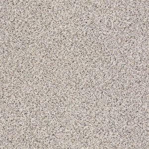 Karma II - Charade - Beige 50.5 oz. Nylon Texture Installed Carpet