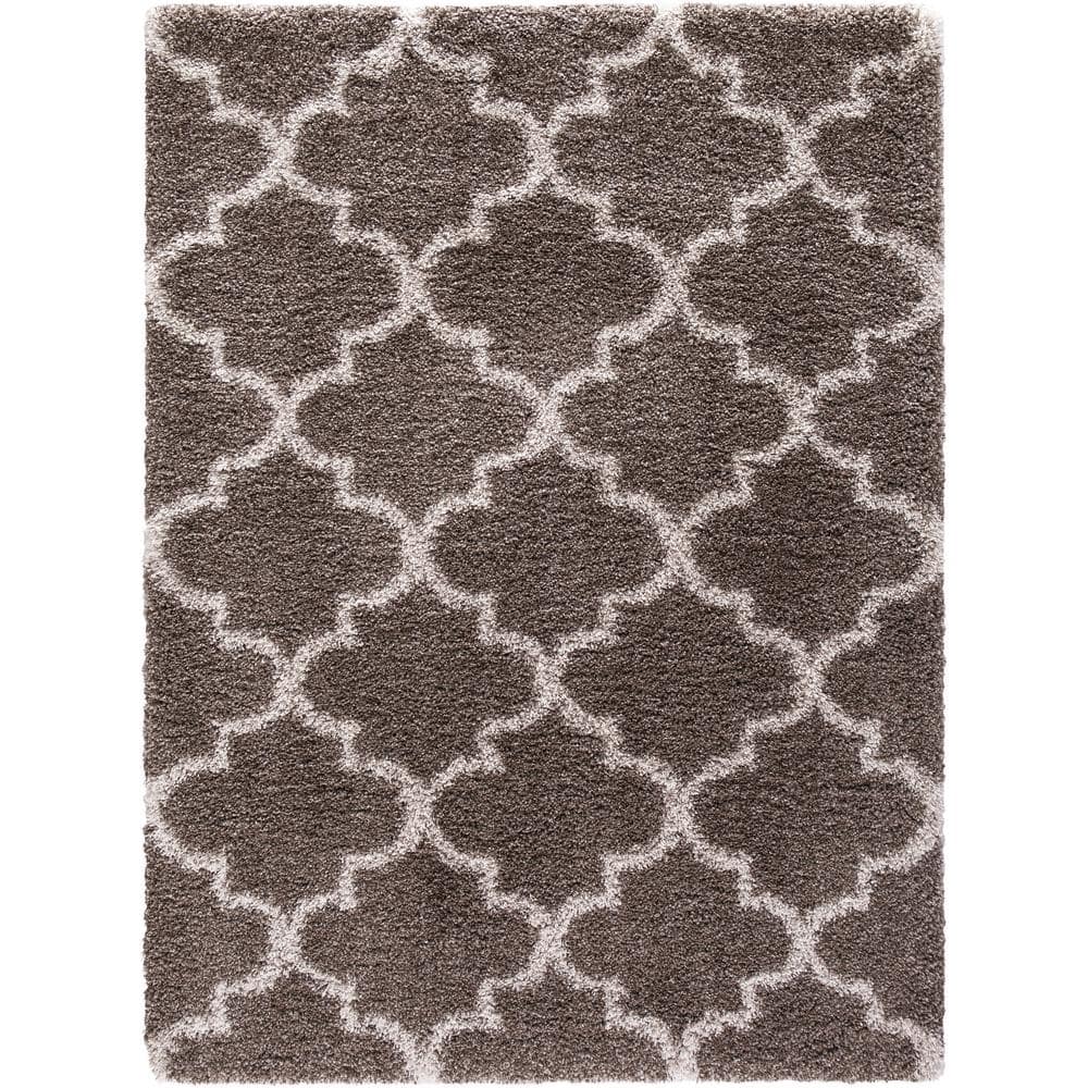 Ocean Shag Marrakech Light Brown 7 ft. x 9 ft. Area Rug price history on PriceWatchPro