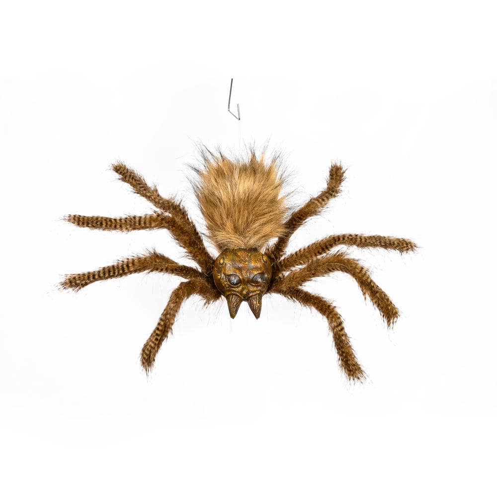 Spiders of the United States & Canada - AdventureKEEN Shop