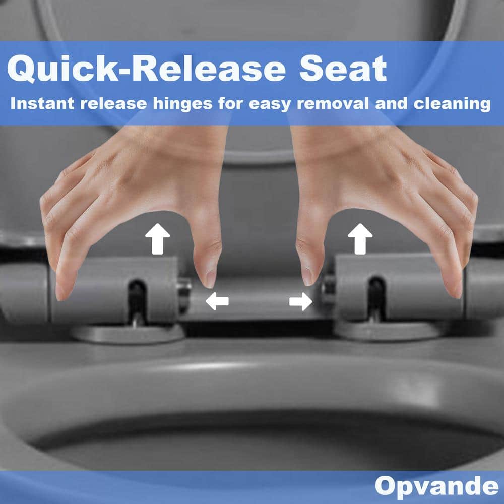 Light Gray Ceramic Dual Flush Elongated One-Piece Toilet