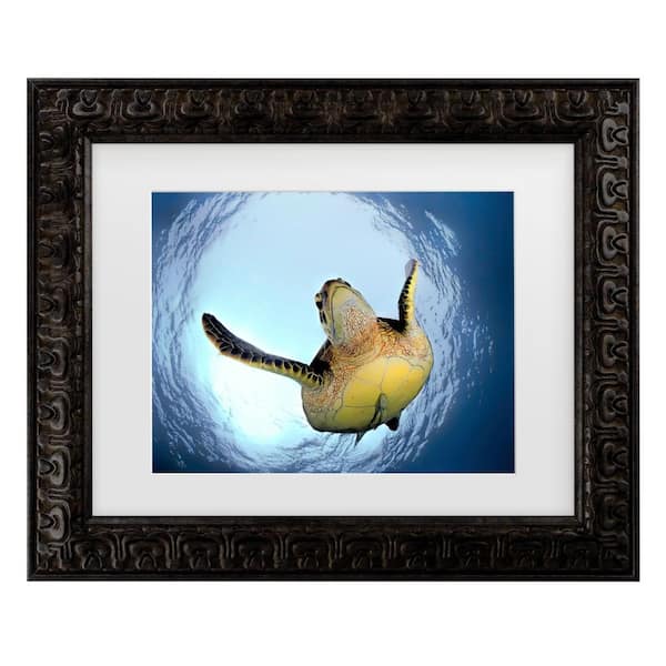 Trademark Fine Art Henry Jager Green Turtle in Snells Window Matted Framed Photography Wall Art 14.5 in. x 17.5 in.