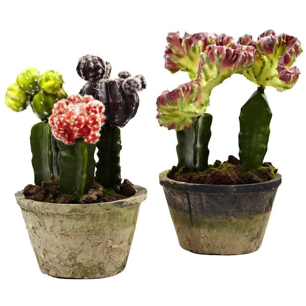 Nearly Natural Artificial Colorful Cactus Gardens (Set of 2)