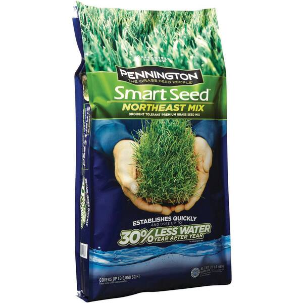 Pennington Smart Seed 20 lbs. Northeast Mix Grass Seed 118976