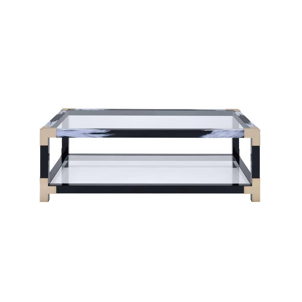 Acme Furniture Lafty White Brushed, Black, Gold and Clear Glass Coffee  Table 81000 - The Home Depot