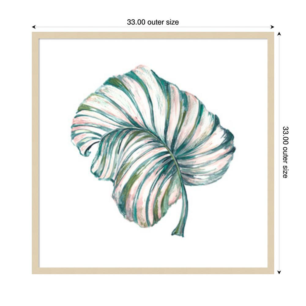 Island Leaf III Svelte Natural Framed Graphic Art Print