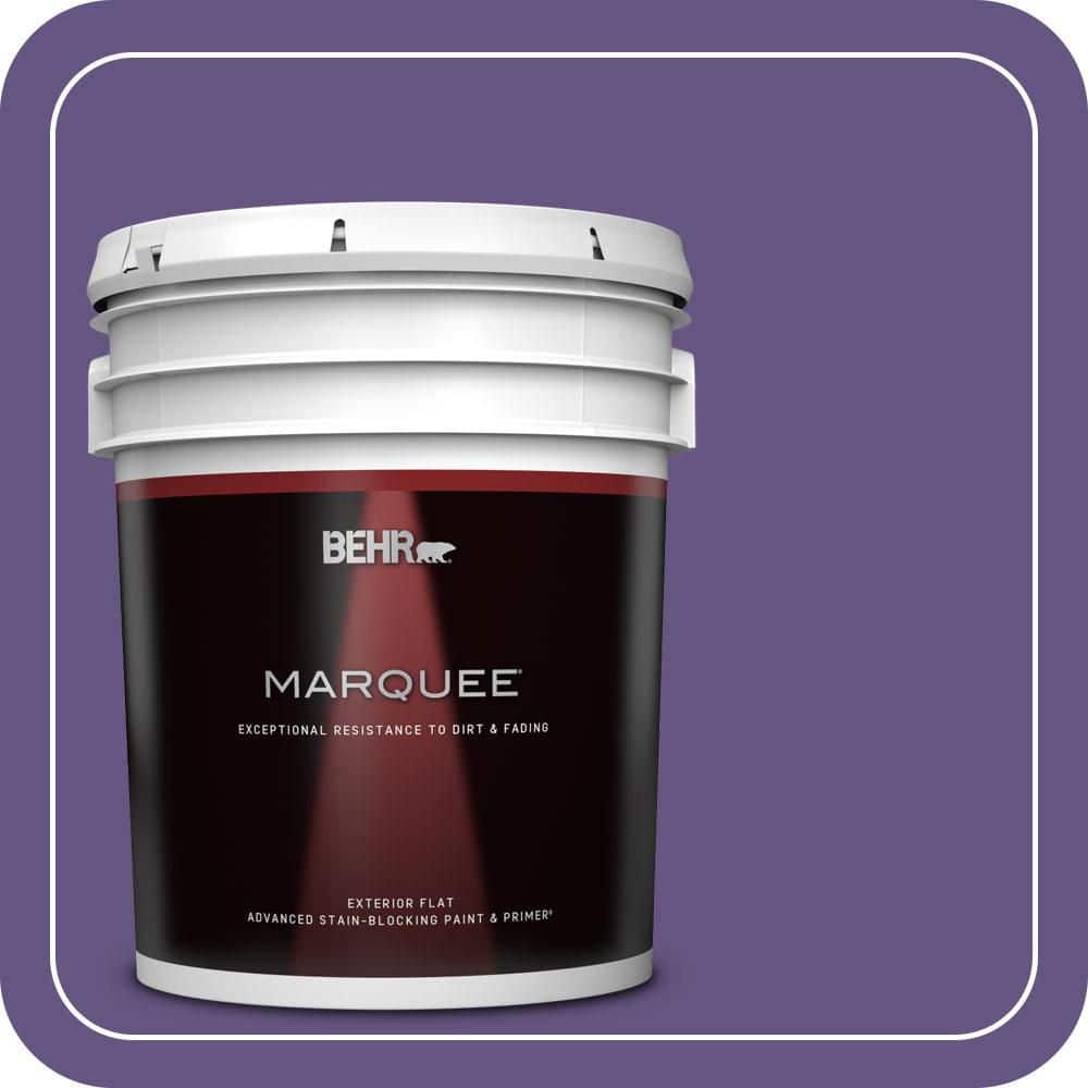 5 gal. #PPU16-02 Vigorous Violet Flat Exterior Paint & Primer price history on PriceWatchPro