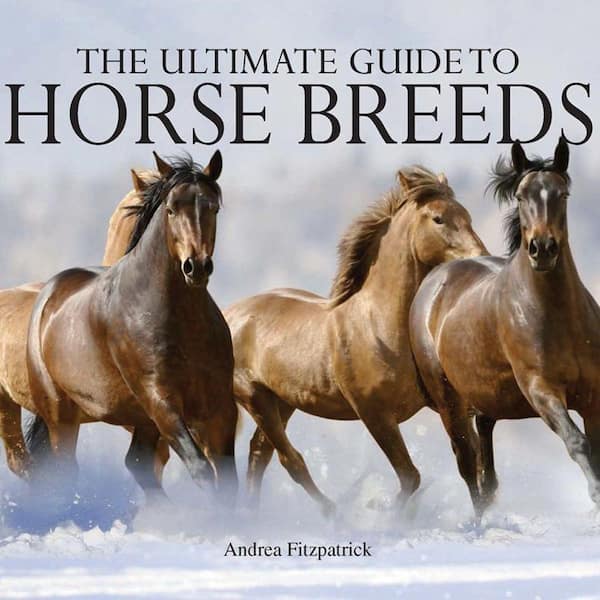 Unbranded The Ultimate Guide to Horse Breeds