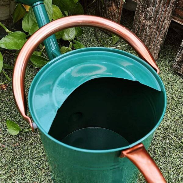 https://images.thdstatic.com/productImages/ea5f839b-dcff-4d0a-9174-f4f8576dd1c4/svn/watering-cans-b07vx1rzzl-44_600.jpg